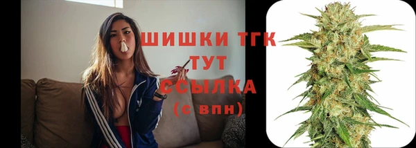 прущий лед Армянск