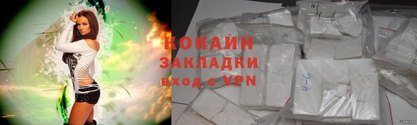 ГАЛЛЮЦИНОГЕННЫЕ ГРИБЫ Вуктыл