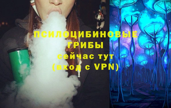 MESCALINE Аркадак