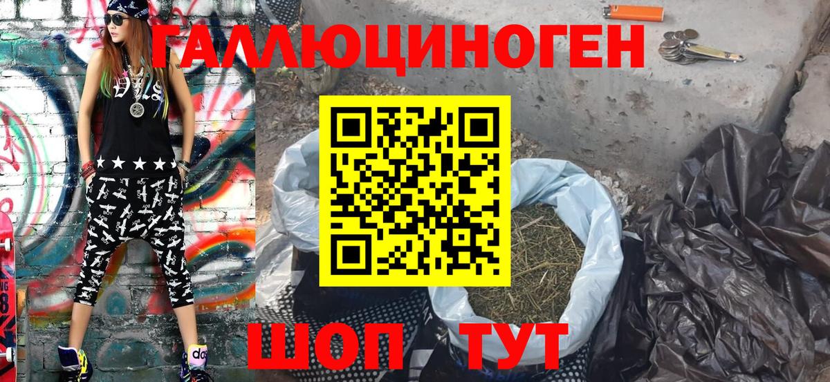 закладки  Вход с VPN  Георгиевск  Псилоцибиновые грибы ЛСД 