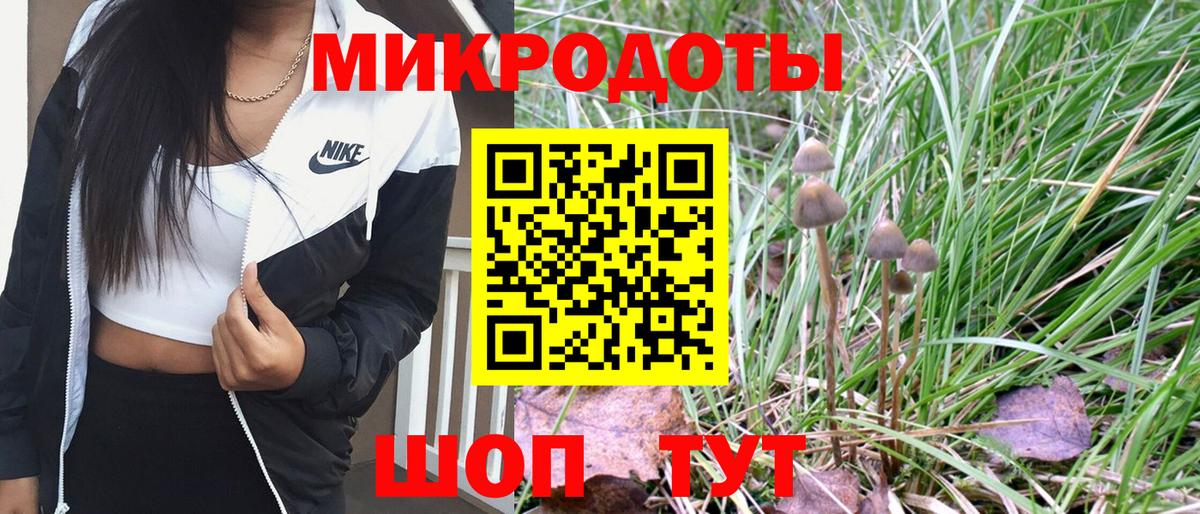 Псилоцибиновые грибы Magic Shrooms Георгиевск